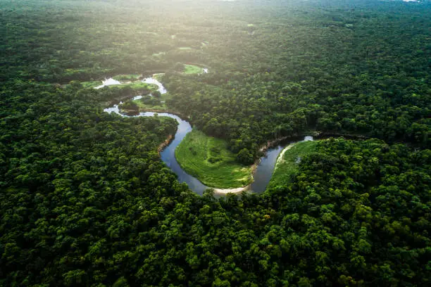 ENVIRONMENT STEWARDSHIP